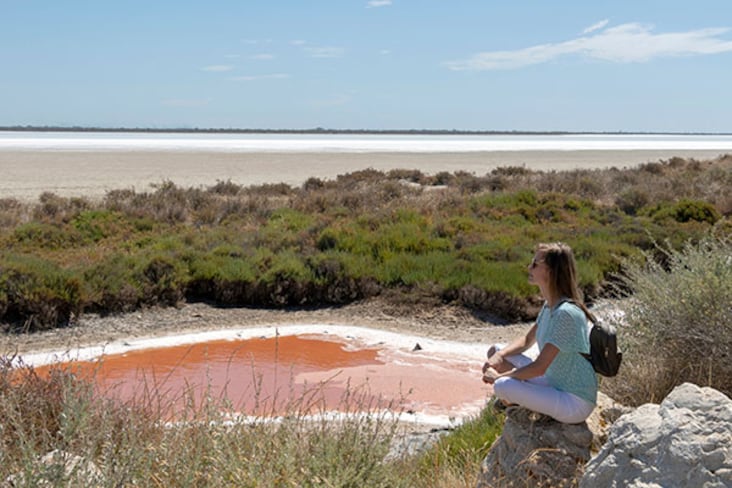 La salinisation des sols et des eaux menace la Camargue
