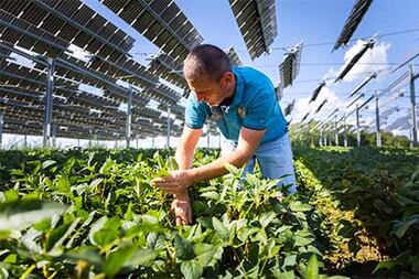 L’engagement des territoires est au cœur de la production d’électricité solaire