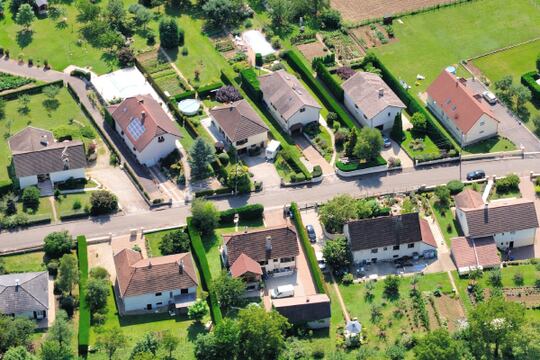 Cas des espèces protégées : le point sur la dérogation pour raisons impératives d’intérêt public majeur