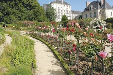 Biodiversité : la nature reprend ses droits dans les parcs urbains