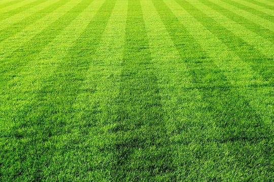 Terrain de sport