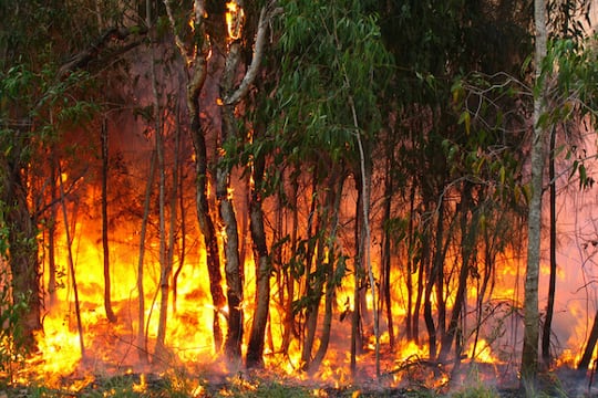 incendie