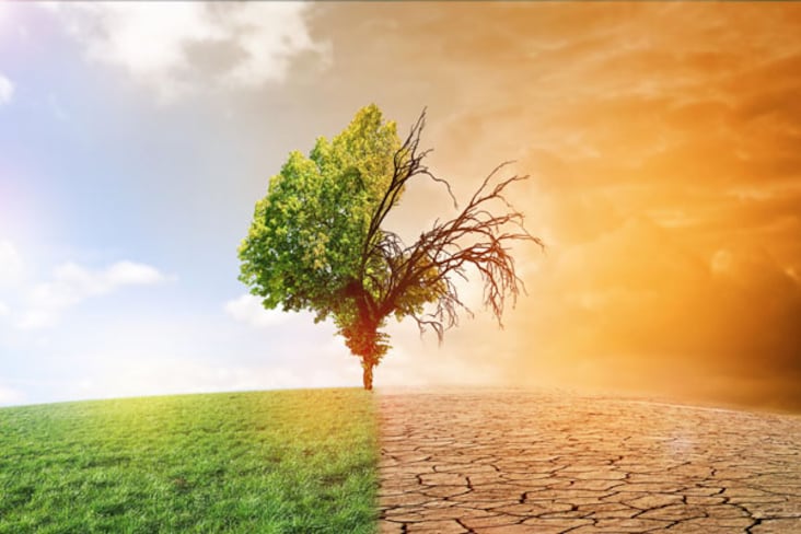 changement climatique