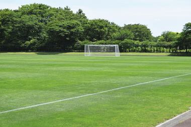 Herbe ou synthétique, un match des terrains arbitré par le climat