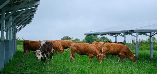 Autoconsommation collective et PPA : des leviers économiques et territoriaux pour les collectivités et les entreprises