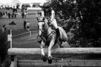 haras du pin