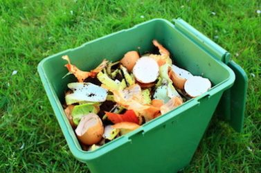 tri déchets-compost-développement durable