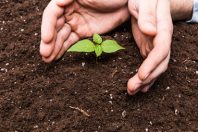 aide_sociale-travail_social-UNE