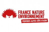 Sans titre