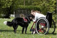 chien-enfant_handicape-zoothérapie-UNE