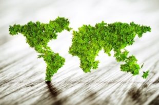 développement-durable-UNE