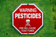 2006-08-15 - Road Trip - Day 23 - United States - California - San Francisco - Sign - Warning Pesticides - Fire Will Cause Toxic Fumes - Skull and Crossbones - mustache - graffiti