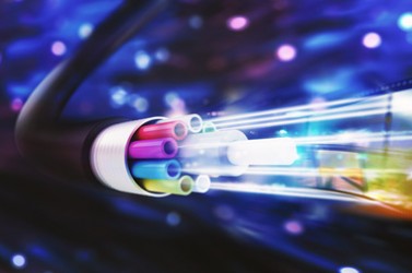 fibre