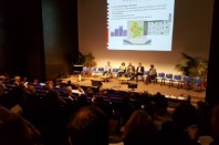 assies 2017a