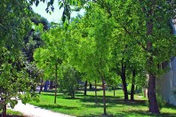 Montpellier parc Clemenceau