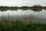 Marais_grand_hazé_Briouze