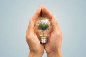 Environnement