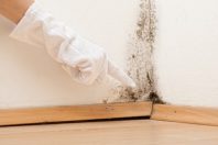 Insalubrité-logement-UNE