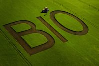 agriculture bio-UNE
