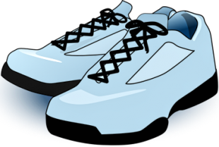 Métiers du sport