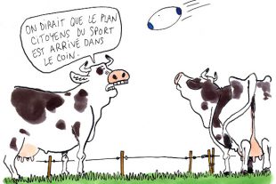 m cambon 169