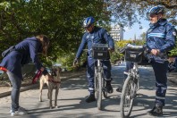 agents-securite