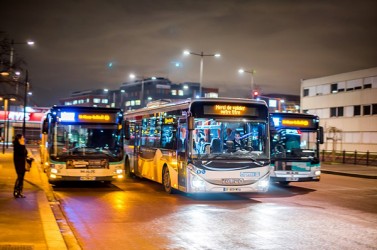 bus