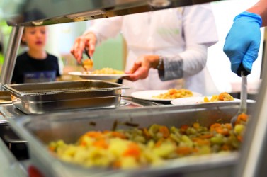 Education à l’alimentation : possibilités et limites de l’école
