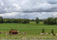 L’aide aux éleveurs, gage de leur maintien sur le territoire