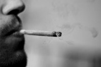 joint cannabis toxicomanie