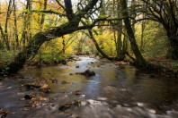 Leguer_riviere