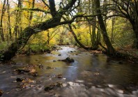 Conférences de l’eau : leviers de changements ou comités Théodule ?