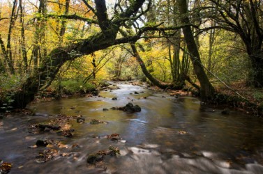 Leguer_riviere