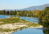 Vieux_Rhone