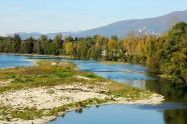 Vieux_Rhone