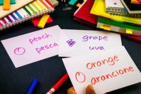 Bilingue-bilinguisme-langues-UNE