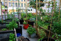 Un jardin urbain (ici, à Bruxelles) pour que chacun puisse bénéficier d’un autre espace.