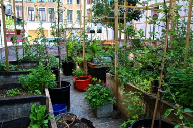 Un jardin urbain (ici, à Bruxelles) pour que chacun puisse bénéficier d’un autre espace.