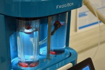FrogBox SIAAP 13