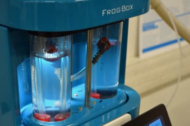 FrogBox SIAAP 13