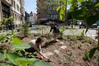 jardin partagé; 1 rue du jeu de paume; écologie; environnement