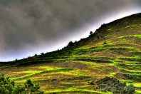 paysage