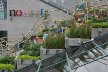 potager_bis