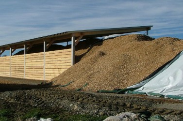 Copeaux de bois visant à être réutilisés pour produire de l'électricité.