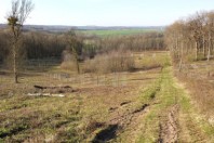 Photo 2 – ...et après aménagement du verger, d’une pâture, d’une bande enherbée le long du ruisseau et de zones de gagnage © Mairie Saint-Rémy
