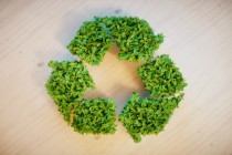 recyclage