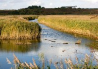 Méga bassines : le Conseil d&rsquo;Etat censure l&rsquo;assouplissement des règles au nom du principe de non-régression