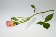 seringue rose euthanie