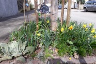 mulhouse2