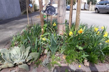 mulhouse2